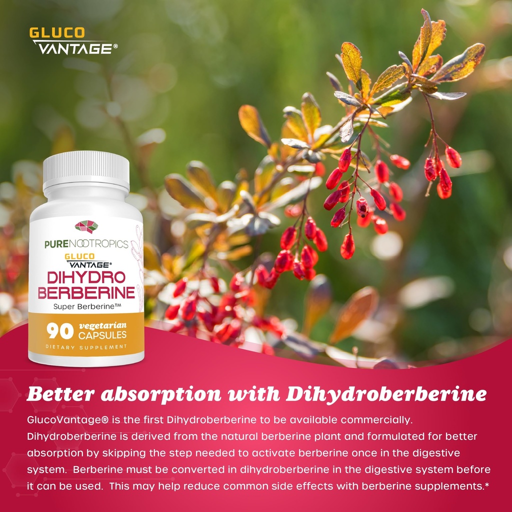 pure-nootropics-dihydroberberine-supplem-4.jpg