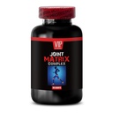 joint-support-supplement-joint-and-hip-s-2.jpg