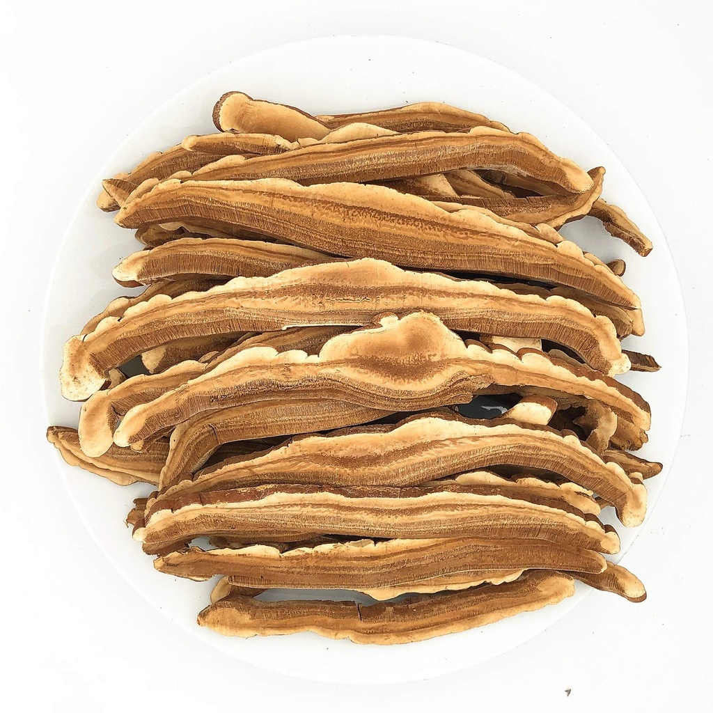 japanese-reishi-mushroom-premium-ganoder-3.jpg