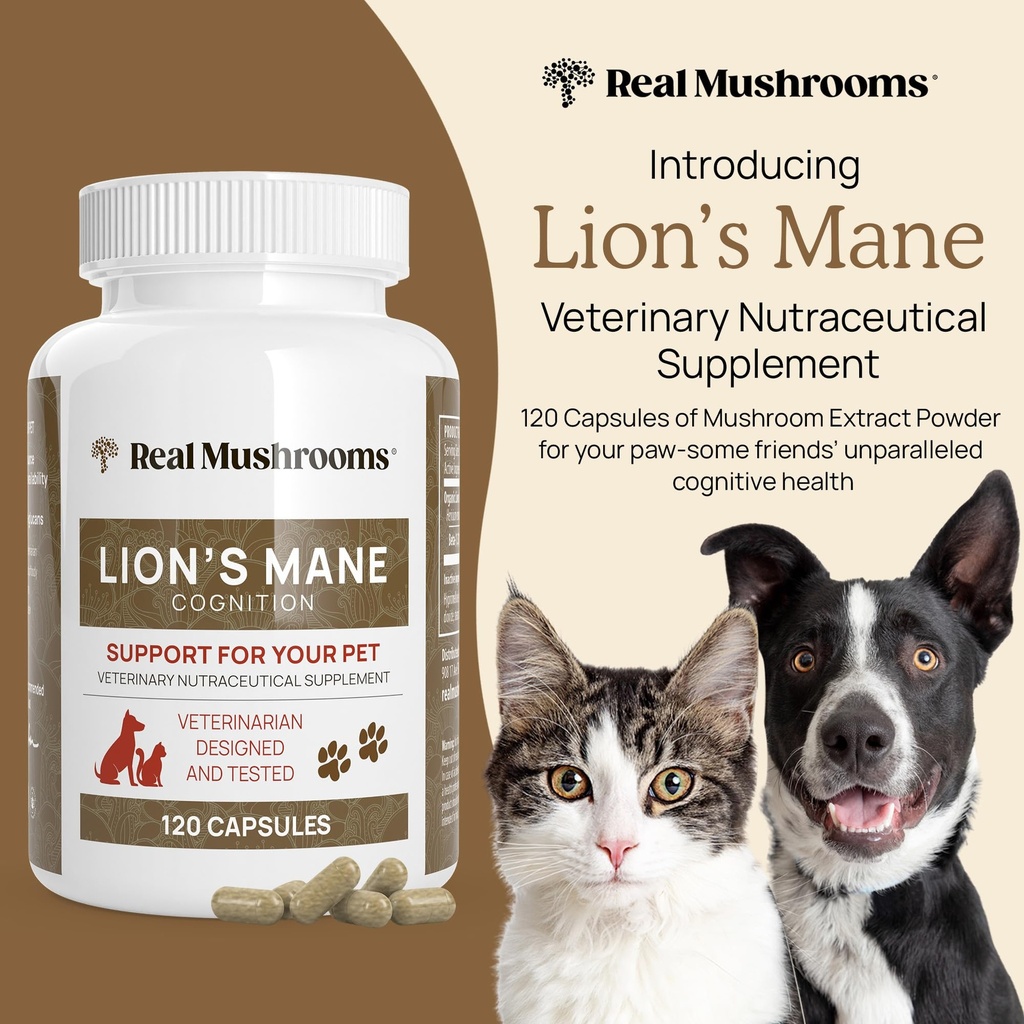 real-mushrooms-lions-mane-for-humans-60--6.jpg