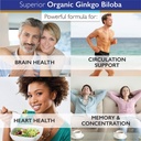 superiorlabs-ginkgo-biloba-1200-mg-non-g-6.jpg