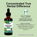 nature-s-answer-eyebright-herb-supports--5.jpg