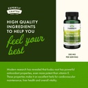 swanson-full-spectrum-kudzu-root-herbal--5.jpg