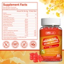 2-pack-ginkgo-biloba-gummies-with-ashwag-6.jpg
