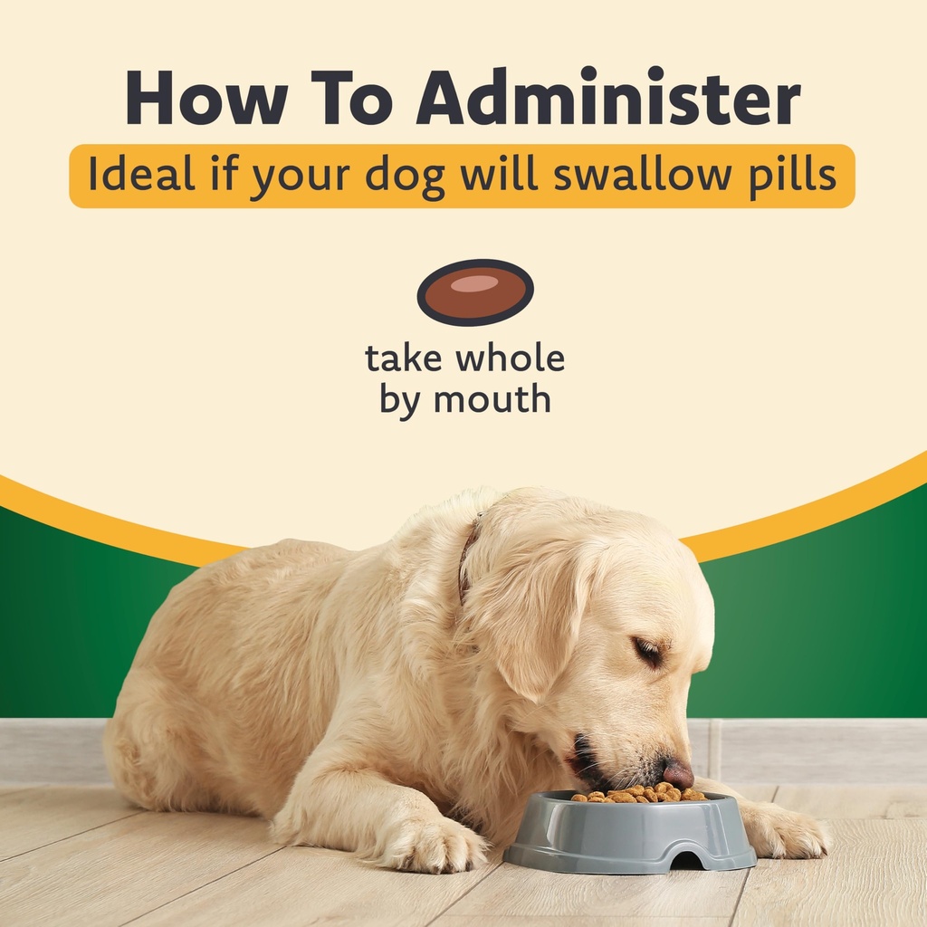 ocu-glo-canine-vision-supplement-for-sma-3.jpg