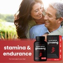 nutrachamps-10-in-1-mushrooms-powder-gin-6.jpg