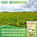 xprs-nutra-organic-dandelion-root-powder-3.jpg