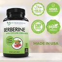 doctor-recommended-supplements-berberine-4.jpg