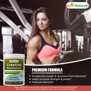best-naturals-creatine-monohydrate-1-lb--5.jpg