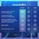 regenerate-sustained-release-supplement--4.jpg