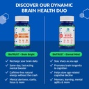 biotrust-brain-bright-daily-nootropic-bo-5.jpg