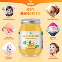 sea-moss-gel-18-5oz-mango-pineapple-flav-3.jpg