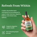 chlorophyll-liquid-drops-from-mulberry-l-6.jpg