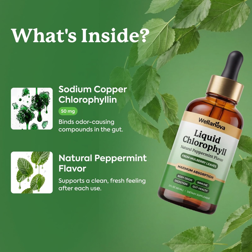 chlorophyll-liquid-drops-from-mulberry-l-3.jpg