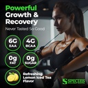 species-nutrition-amino-evolved-eaa-bcaa-2.jpg
