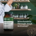 gaia-herbs-pro-ampk-activator-supports-c-5.jpg