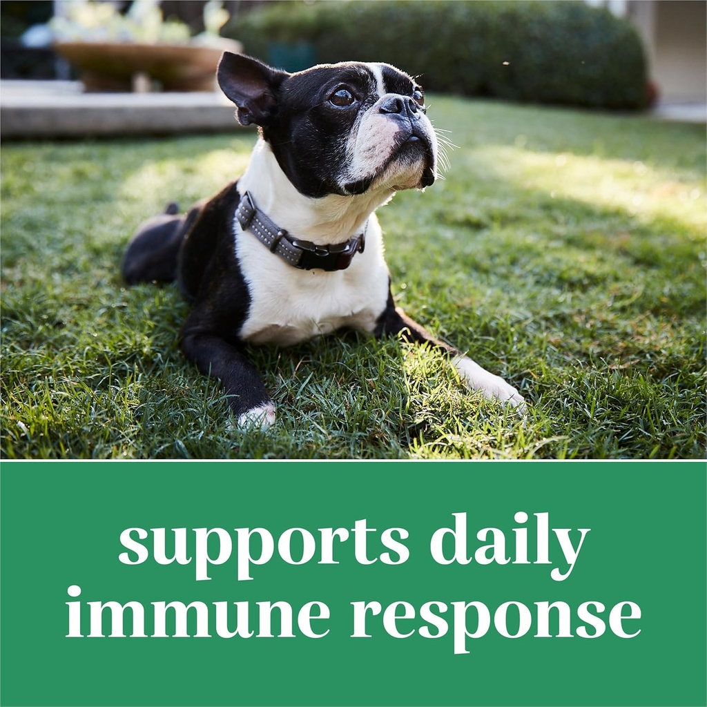 everroot-dog-supplements-powered-by-puri-4.jpg