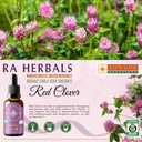 ra-herbals-organic-red-clover-liquid-ext-3.jpg