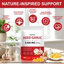 odorless-garlic-softgels-500mg-per-servi-4.jpg