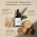 focus-energy-natural-mushroom-tincture---3.jpg