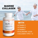 vitasei-salmoflex-marine-collagen-peptid-4.jpg