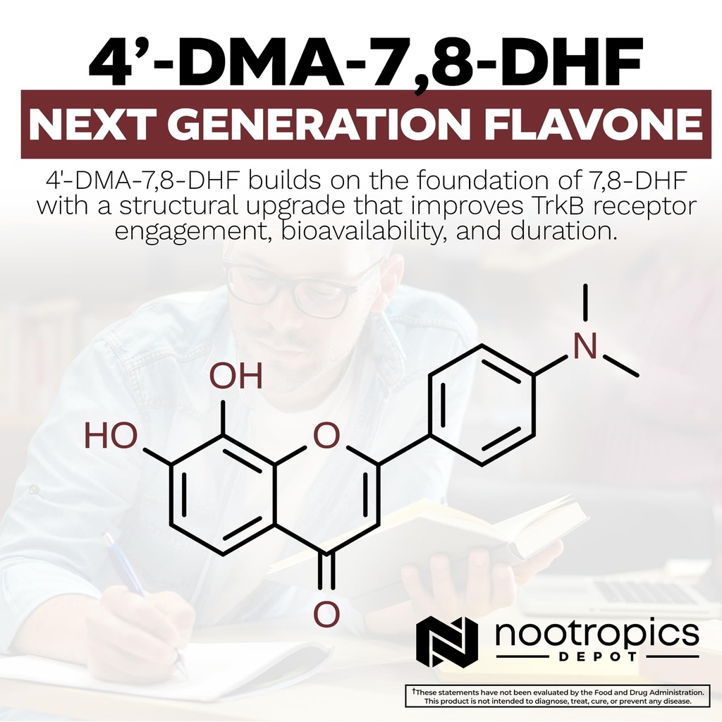 nootropics-depot-4-dma-7-8-dhf-capsules--5.jpg