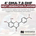 nootropics-depot-4-dma-7-8-dhf-capsules--5.jpg