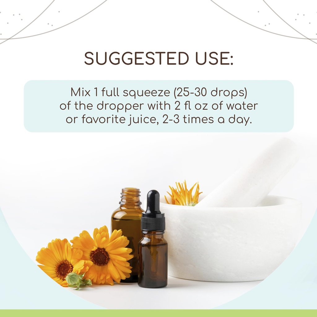 ginkgo-biloba-b120-alcohol-free-herbal-e-2.jpg