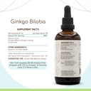 ginkgo-biloba-b120-alcohol-free-herbal-e-3.jpg