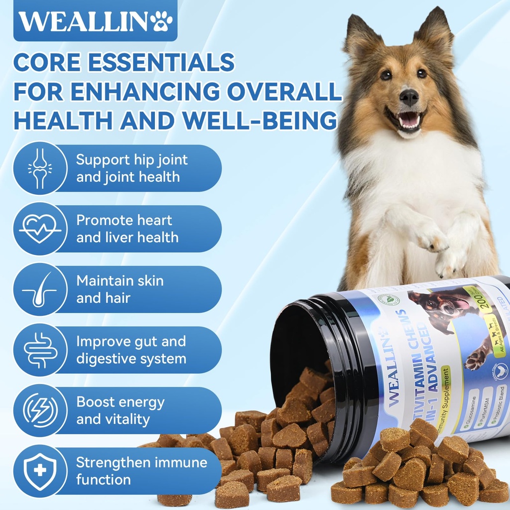 dog-vitamins-joint-supplement-for-dogs-2.jpg