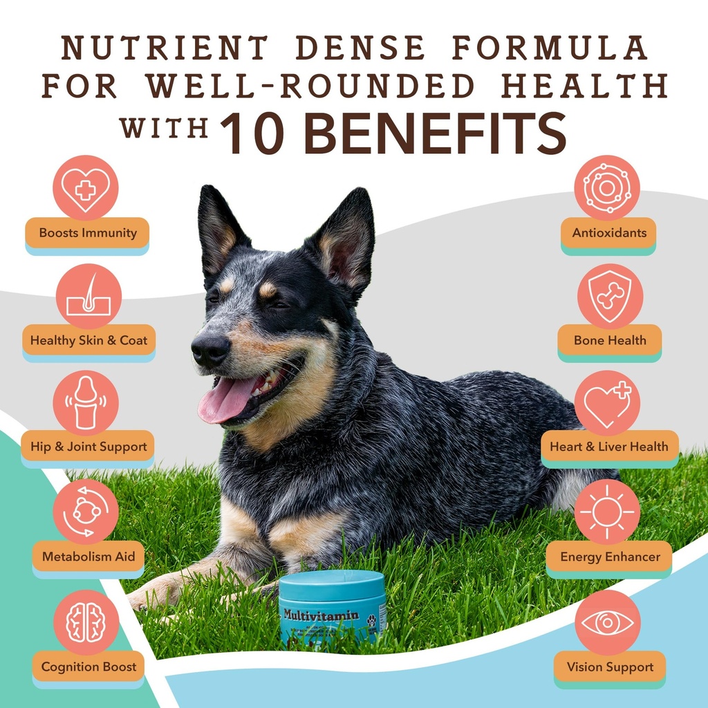 natural-dog-company-dog-supplements-for--4.jpg