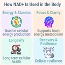 shizam-nmn-nmnh-nad-gummies-nad-suppleme-5.jpg