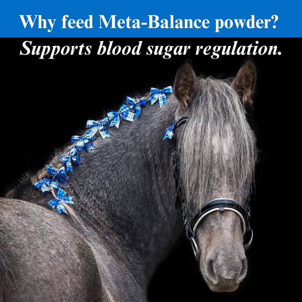su-per-meta-balance-horse-metabolic-supp-4.jpg