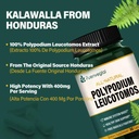 polypodium-leucotomos-extract-capsules-f-3.jpg