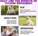 dog-multivitamin-liquid-15-in-1-dog-vita-6.jpg