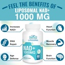 liposomal-nad-supplement-1000-mg-highest-3.jpg