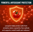 krk-supplements-1-bottle-lycopene-50mg-9-3.jpg