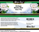 bianca-rosa-ginkgo-biloba-bai-guo-ye-cre-4.jpg
