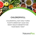 naturesplus-chlorophyll-complex-90-veget-4.jpg