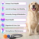 dog-multivitamin-15-in-1-dog-multivitami-4.jpg