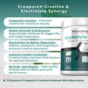 myoxcience-electrolyte-stix-creatine-ele-6.jpg