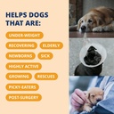 under-the-weather-pet-electrolytes-ready-4.jpg