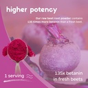organic-beet-root-juice-powder-from-raw--3.jpg