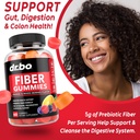 dr-bo-fiber-gummies-colon-cleanse-ginger-4.jpg