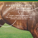 corta-flx-u-gard-pellets-for-horses-dige-3.jpg