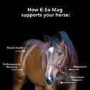 mvp-e-se-mag-10lb-for-muscle-function-re-2.jpg