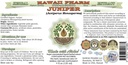 juniper-alcohol-free-liquid-extract-orga-2.jpg