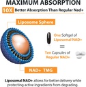 orgabay-liposomal-nad-supplement-500-mg--5.jpg