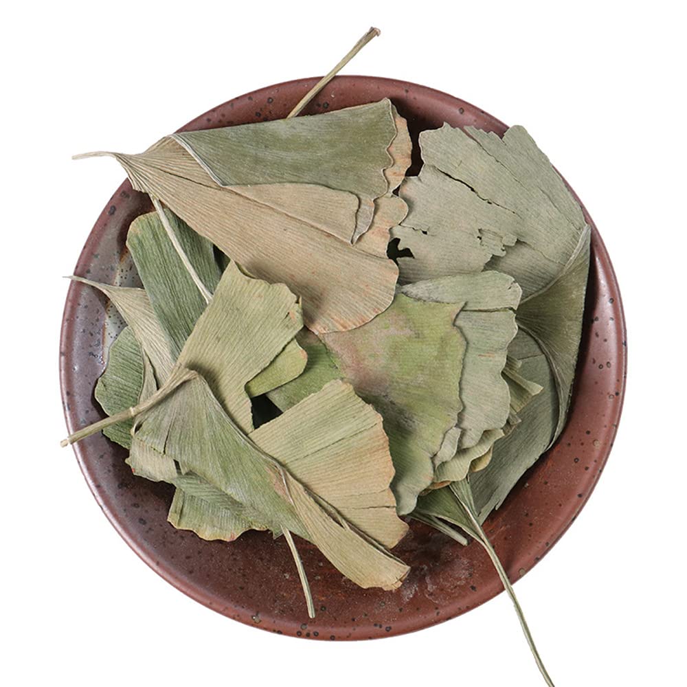 dried-ginkgo-biloba-leaves-ginkgo-biloba-61S-iUd4ZCL.jpg