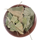 dried-ginkgo-biloba-leaves-ginkgo-biloba-61S-iUd4ZCL.jpg